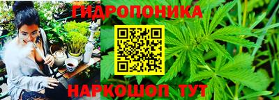 спиды Аргун