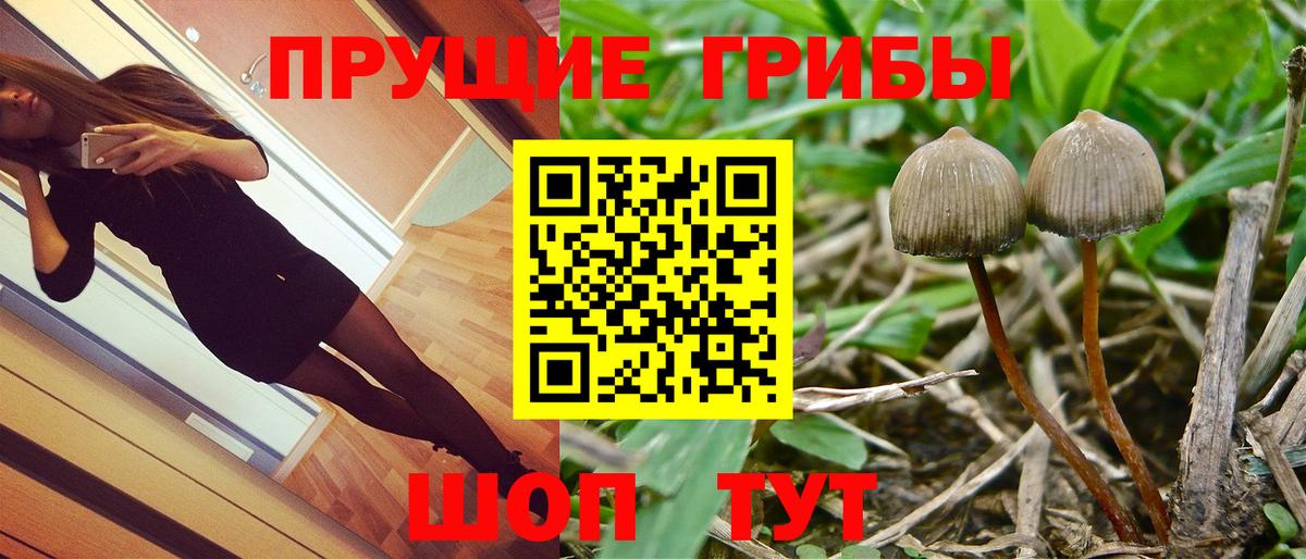 Галлюциногенные грибы Magic Shrooms  Вход с VPN  Белореченск 
